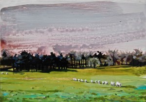 Sheep Making their Way across the Curragh, oil & inks on board 13 x 18 cm