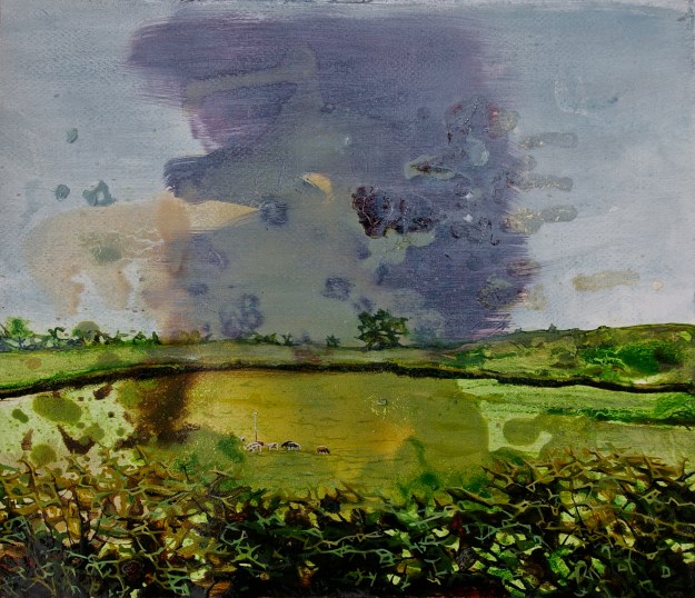 Galbraith's Cows up on Binnion Hill, oil on paper, 36 x 41 cm